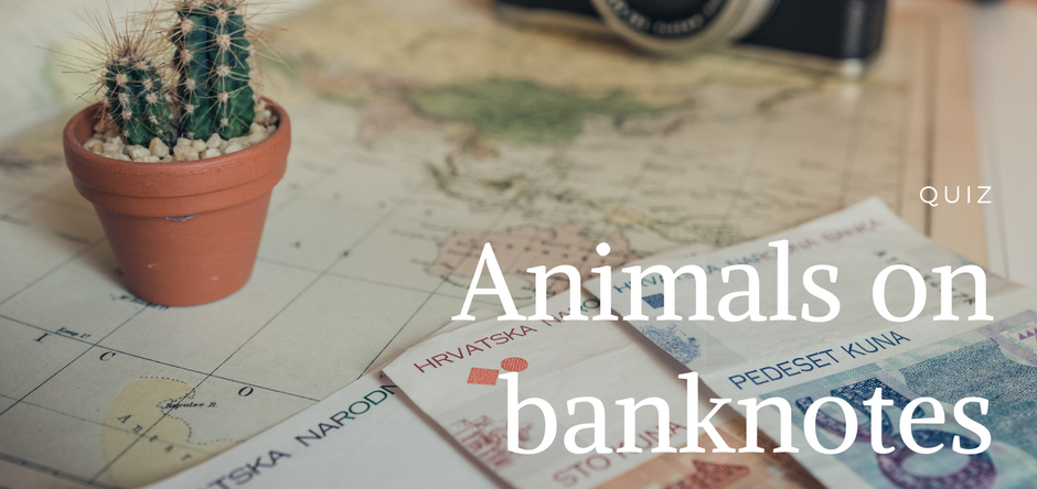Animals on banknotes