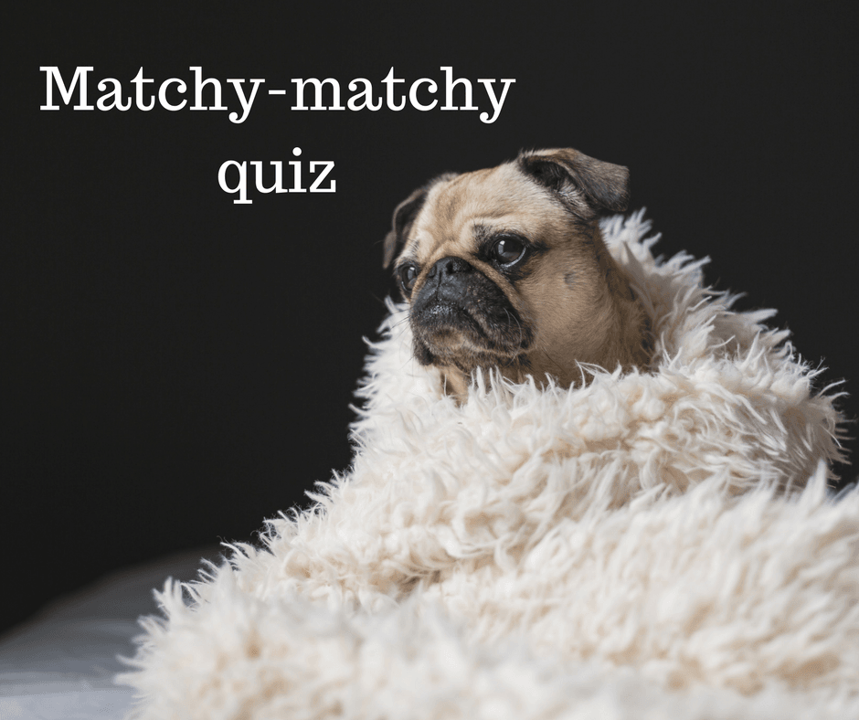 Matchy-matchy quiz